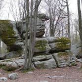 Review photo of Red House Area — Allegany State Park State Park by Jeremy H., July 28, 2016