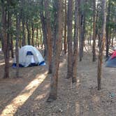 Review photo of Deer Creek Campground — Golden Gate Canyon by Minette and Ron G., July 31, 2018