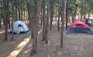 Minette and Ron G.'s photo at Deer Creek Campground — Golden Gate Canyon near Arvada, CO