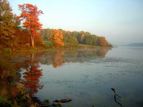 Camper-submitted photo at Red House Area — Allegany State Park State Park near Gowanda, NY