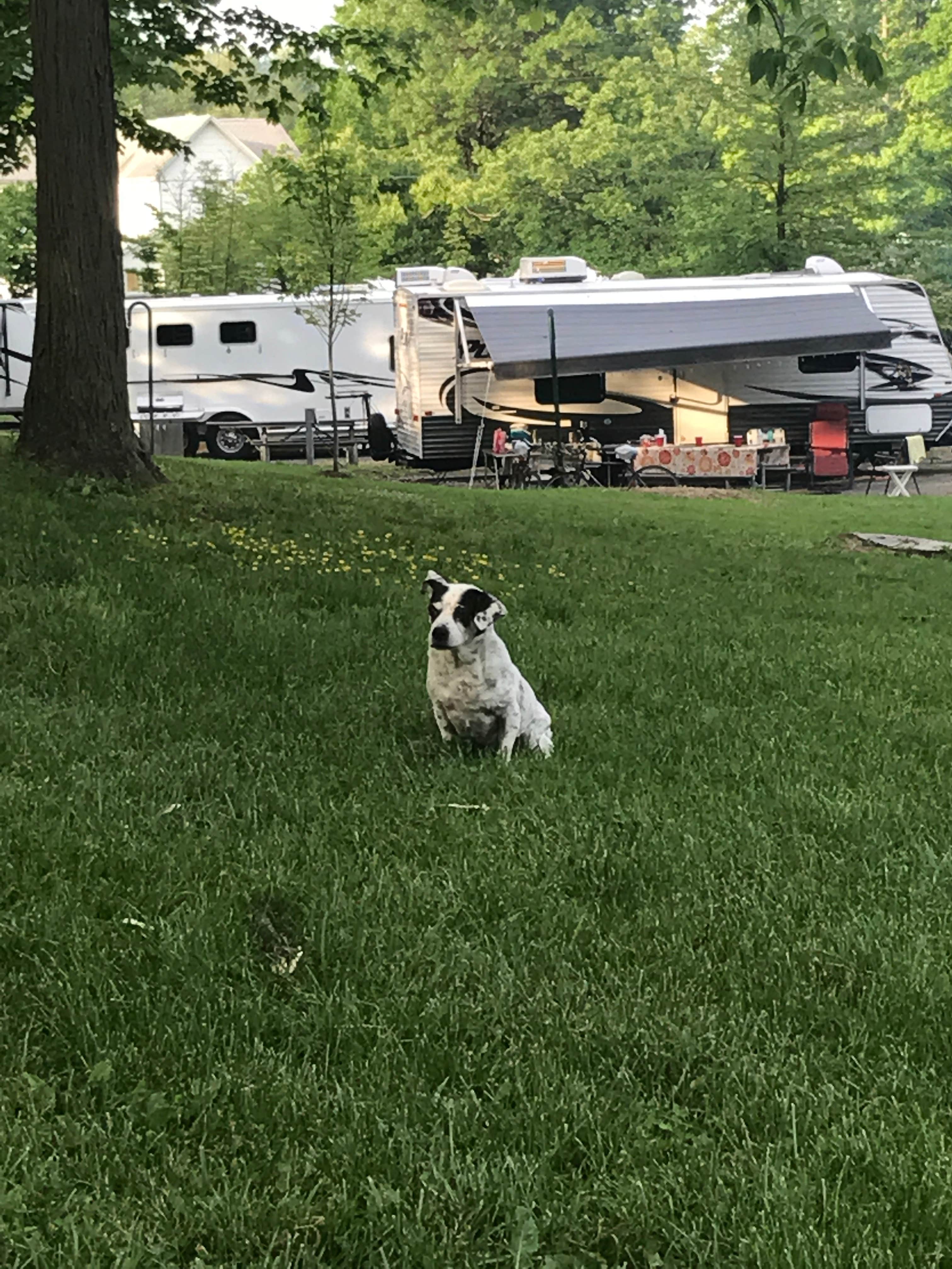 Camper-submitted photo at Outflow Camping near Friendsville, MD