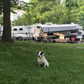 Review photo of Outflow Camping by Amy C., July 31, 2018