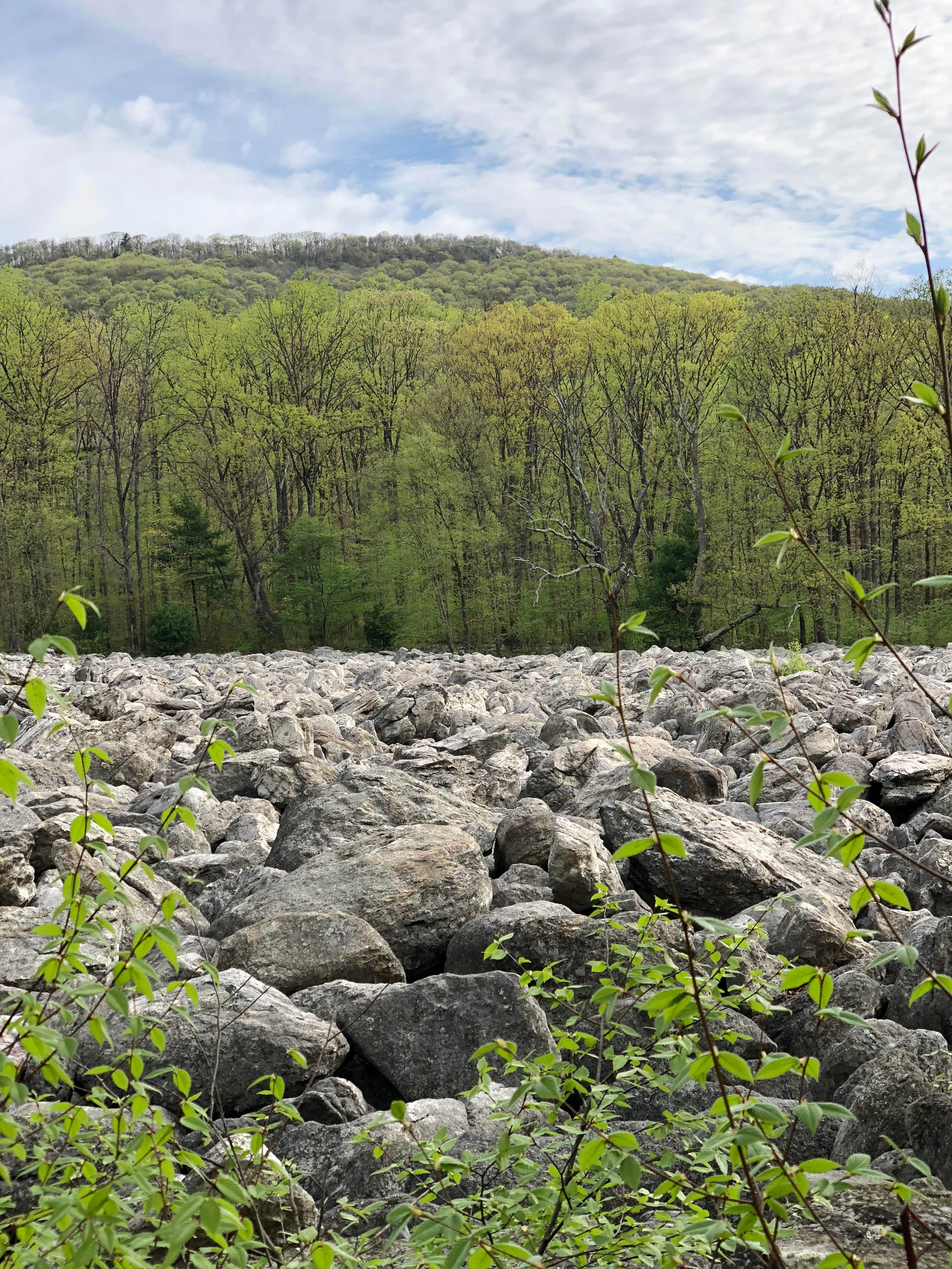 Camper-submitted photo at Blue Rocks Family Campground near Slatington, PA