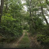 Review photo of Marthas Vineyard Family Campground by Amy C., July 31, 2018