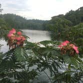 Review photo of Beavers Bend State Park Campground by Carrie K., July 31, 2018