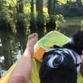 Review photo of Beavers Bend State Park Campground by Carrie K., July 31, 2018