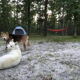 Review photo of Wading Pines Camping Resort by Amy C., July 31, 2018