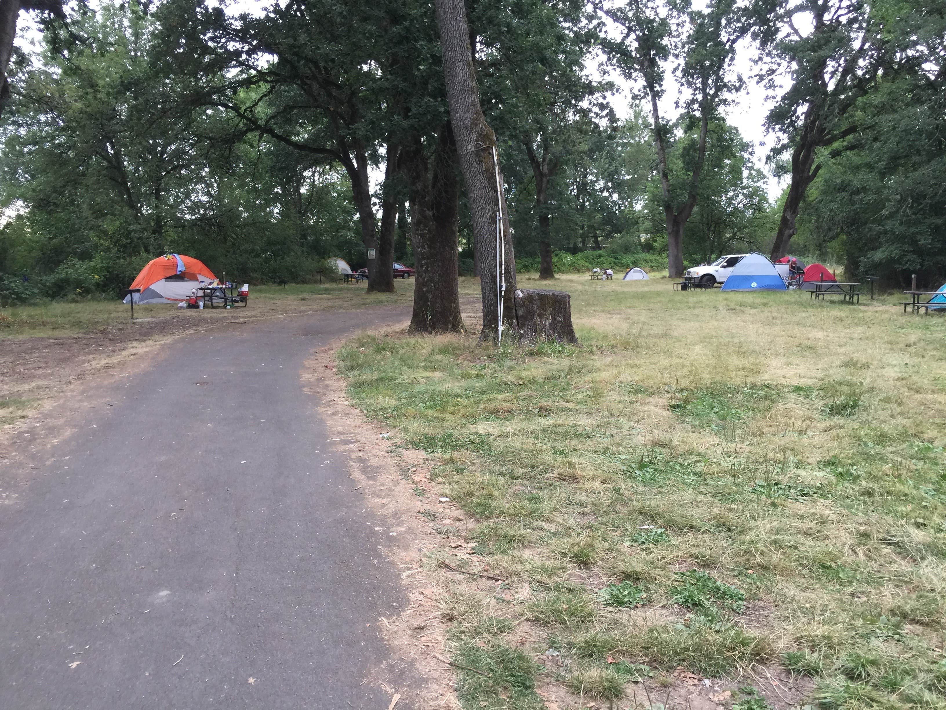 Camper submitted image from Salem Campground and RVs - 3