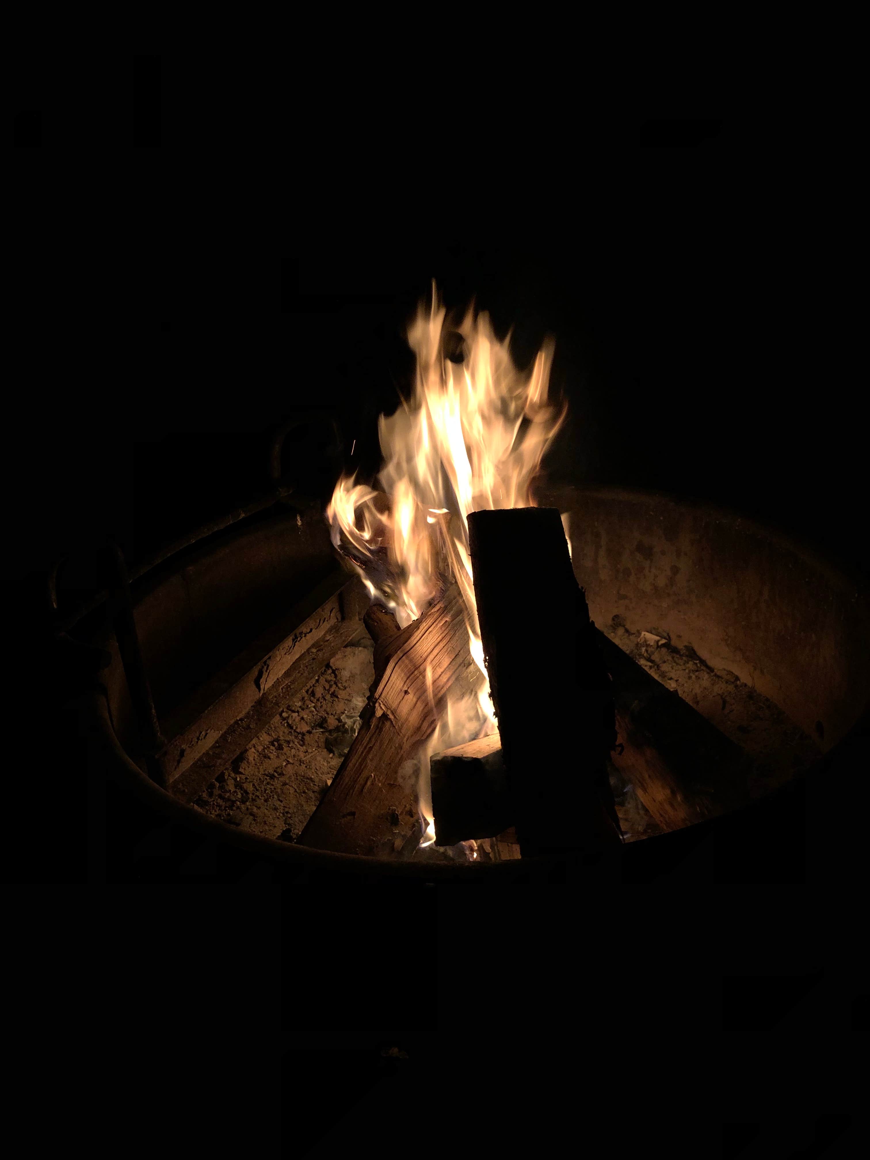 Camper-submitted photo at Tolt MacDonald Park, WA near Everett, WA