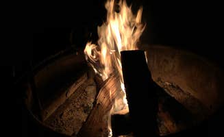 Dawnielle C.'s photo at Tolt MacDonald Park, WA in Washington