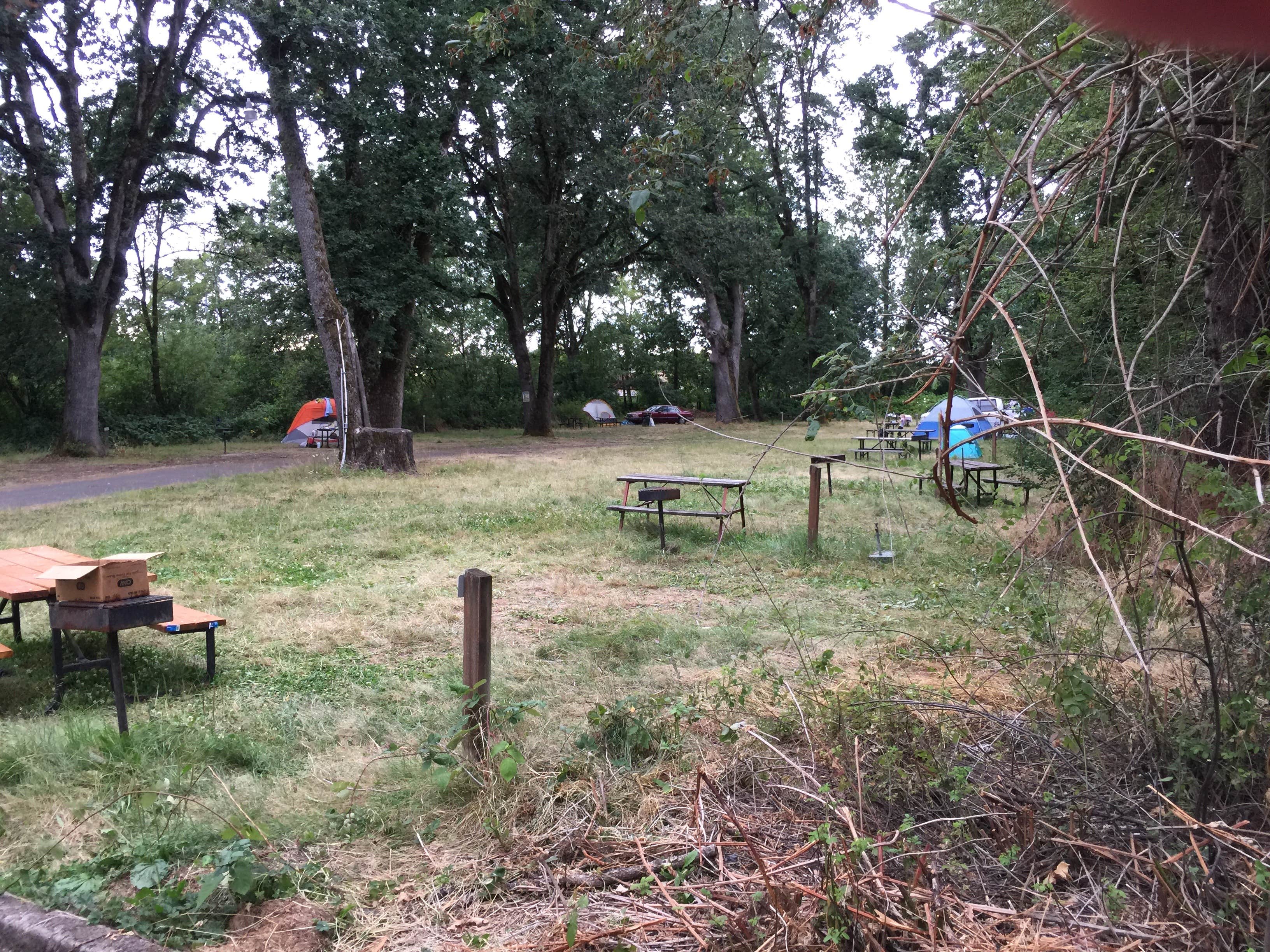 Camper-submitted photo at Salem Campground and RVs near Rickreall, OR