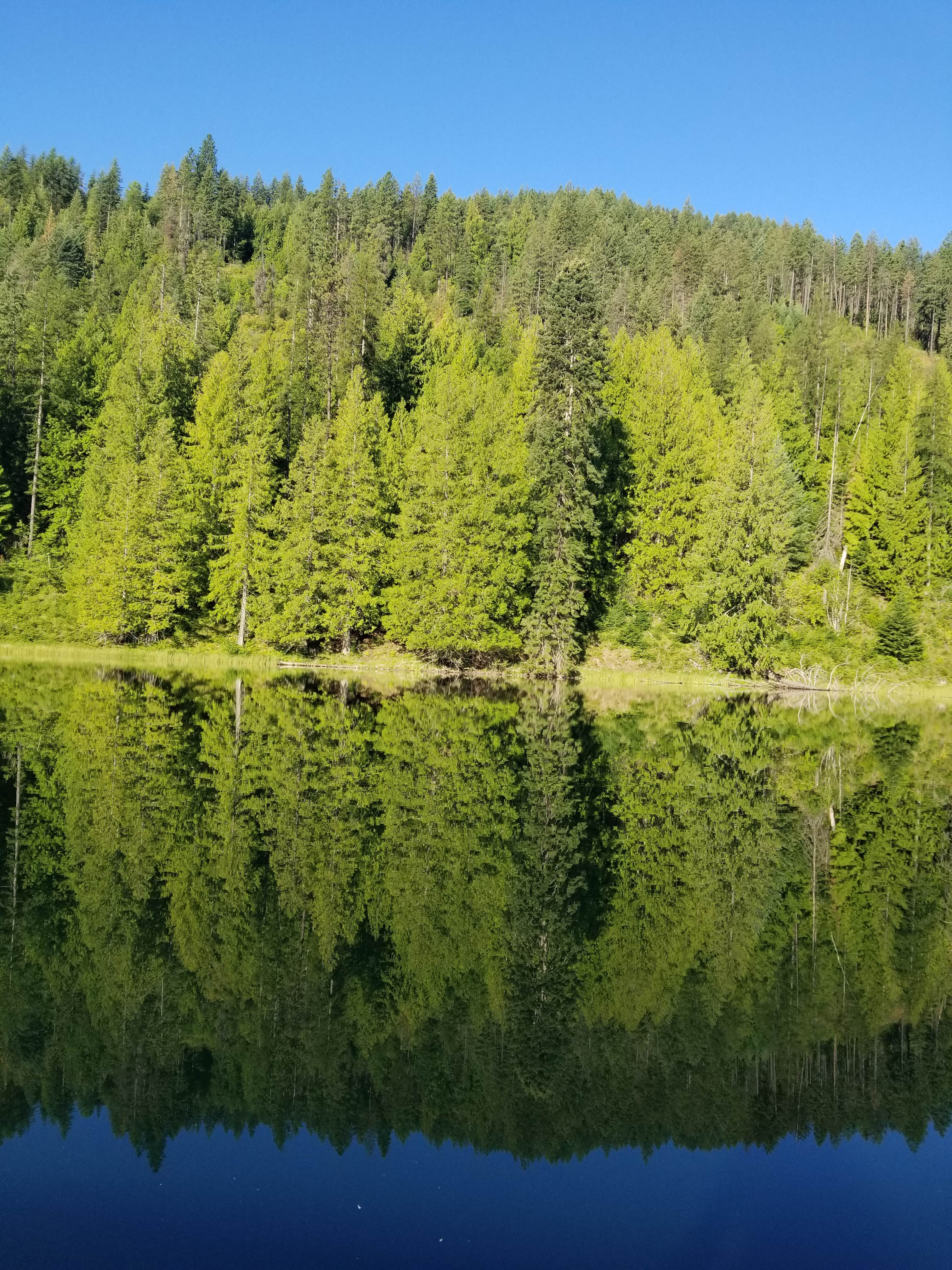 Camper-submitted photo at Mirror Lake near Ponderay, ID