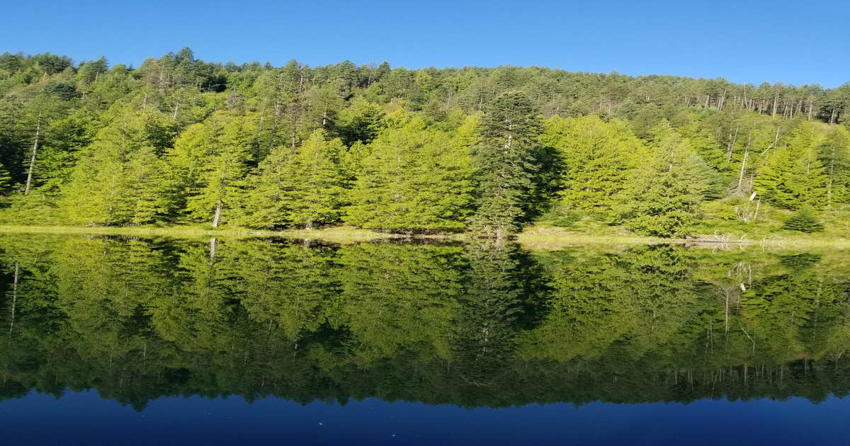 Mirror Lake Camping 