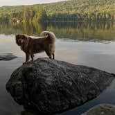 Review photo of Ricker Pond State Park Campground by Danielle S., July 31, 2018