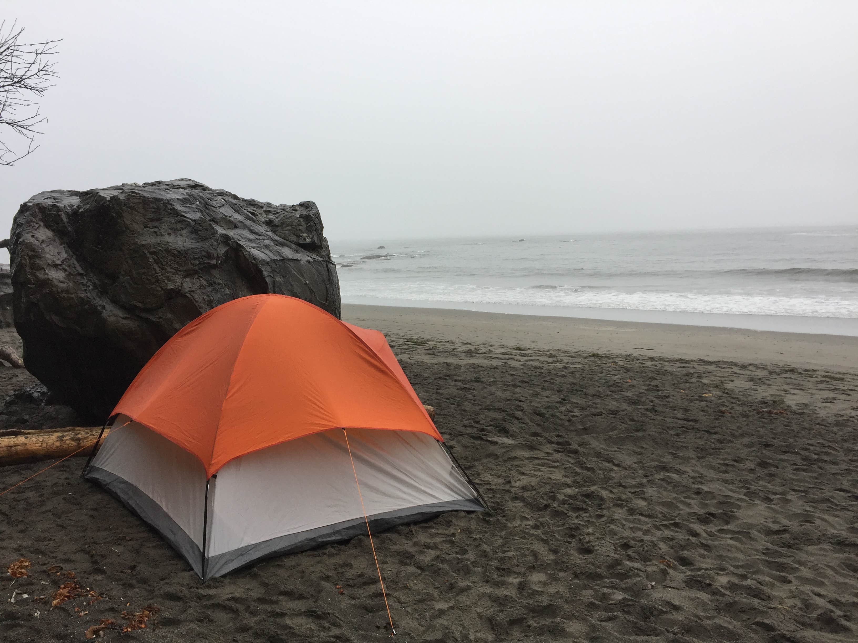 Claire S.'s photo at Third Beach Camping — Olympic National Park near La Push, WA