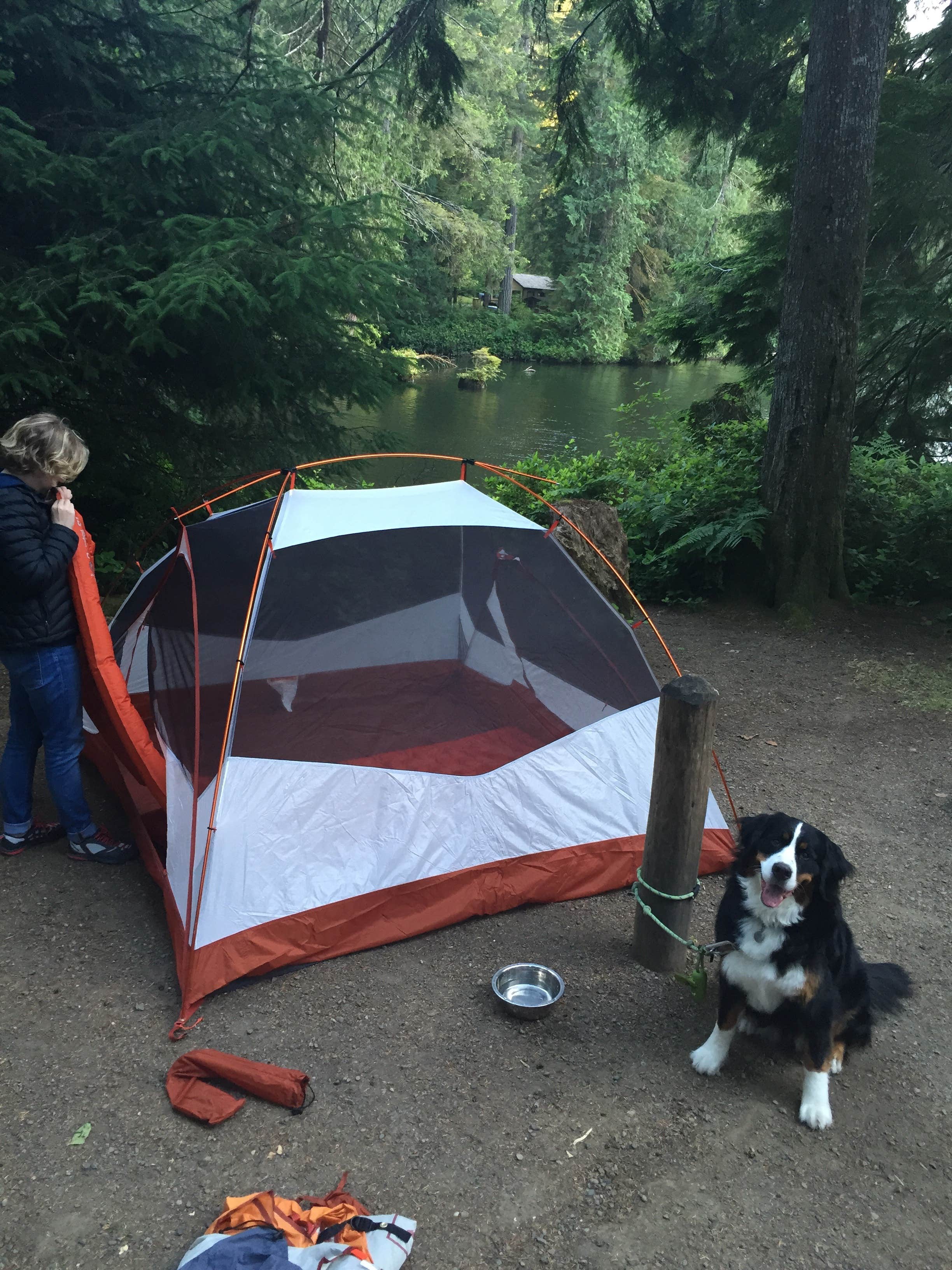Bill M.'s photo of camping with pets at Lake Sylvia State Park Campground near Raymond, WA