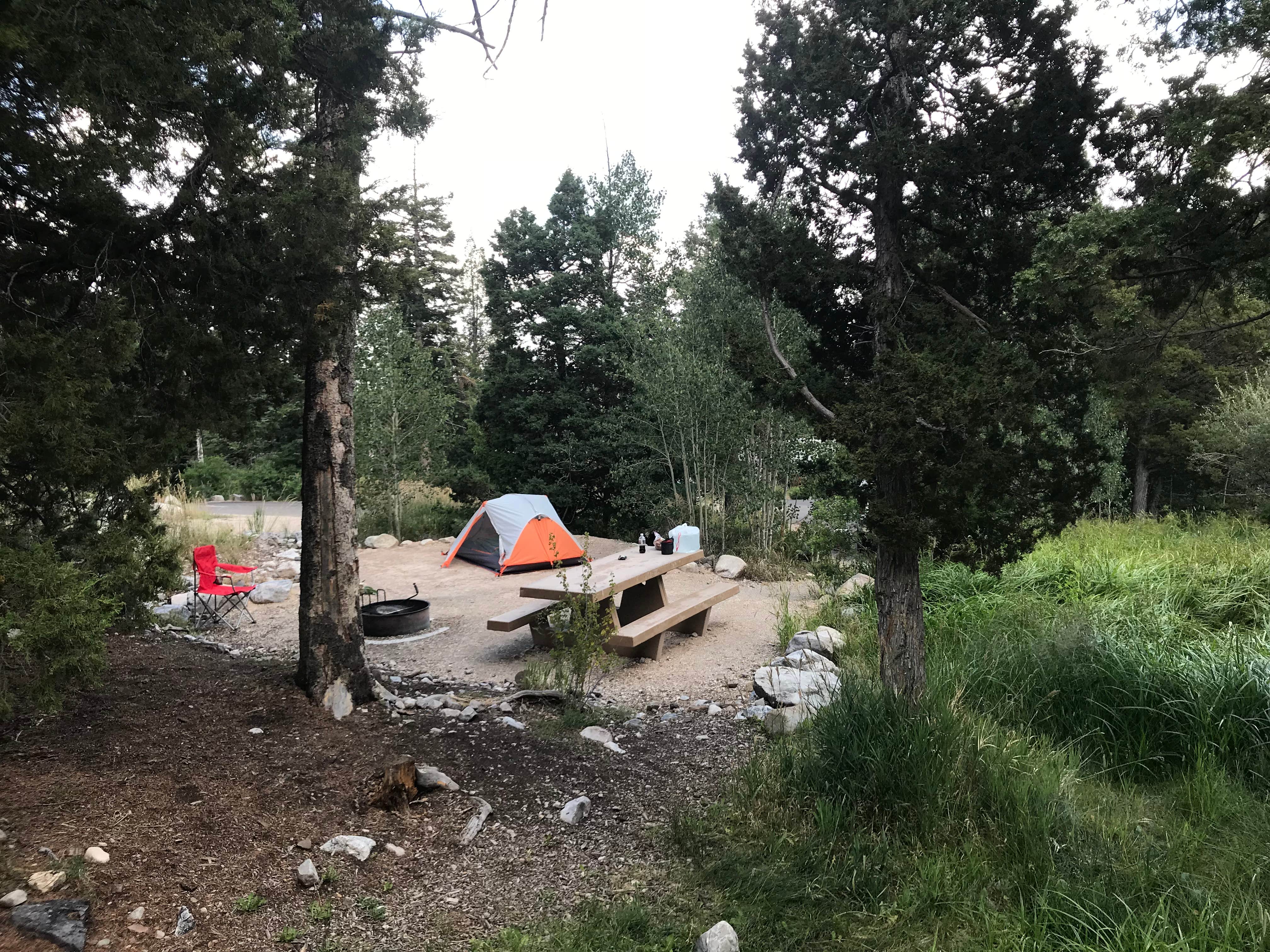 Jeff D.'s photo at Upper Lehman Creek Campground — Great Basin National Park near Garrison, UT
