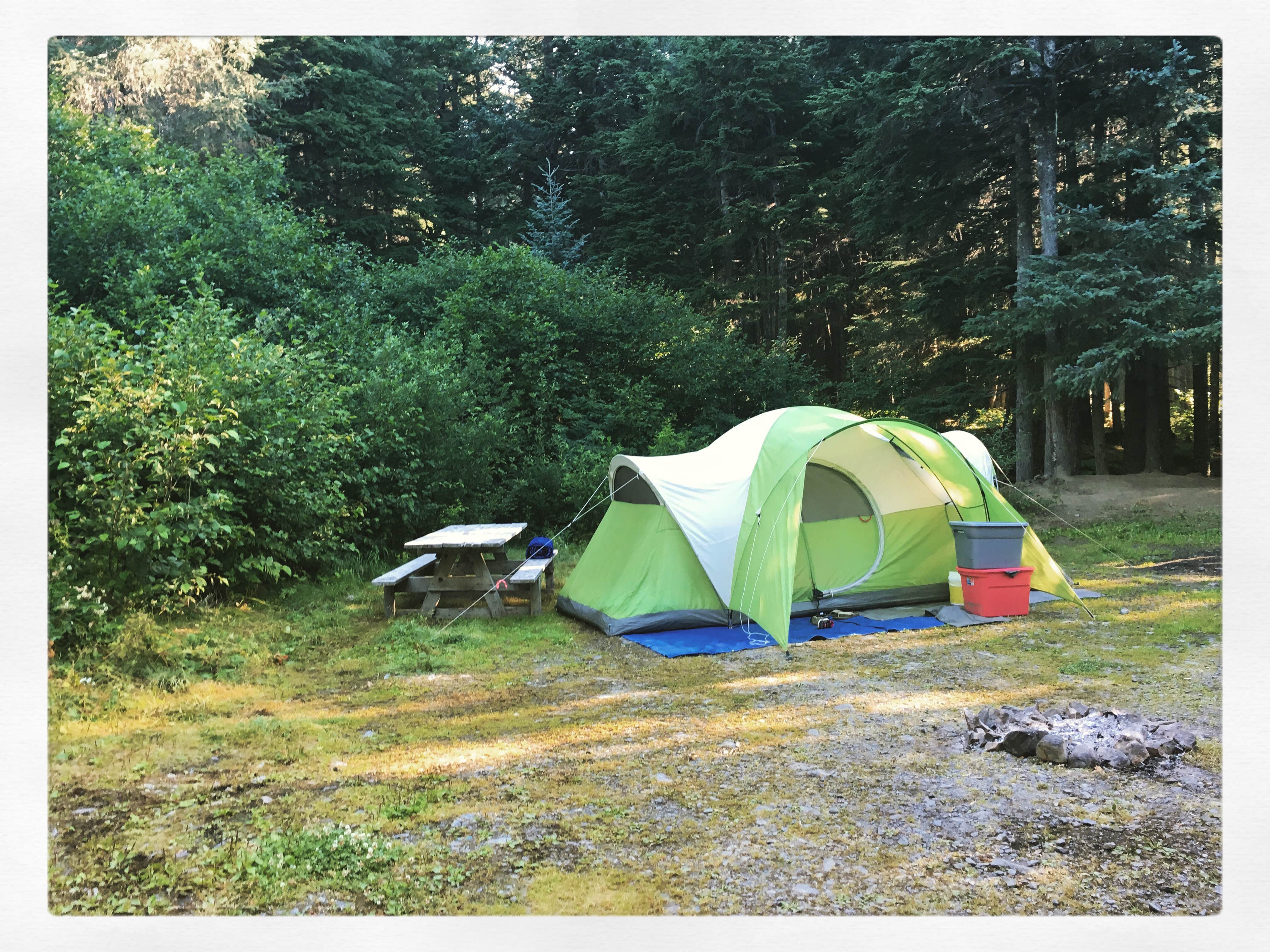 Camper submitted image from Gold Creek Gold Mine - 5