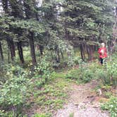 Review photo of Riley Creek Campground — Denali National Park by Staci J., July 28, 2016