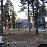 Review photo of Dogtown Lake Campground And Group by Joffrey H., July 31, 2018
