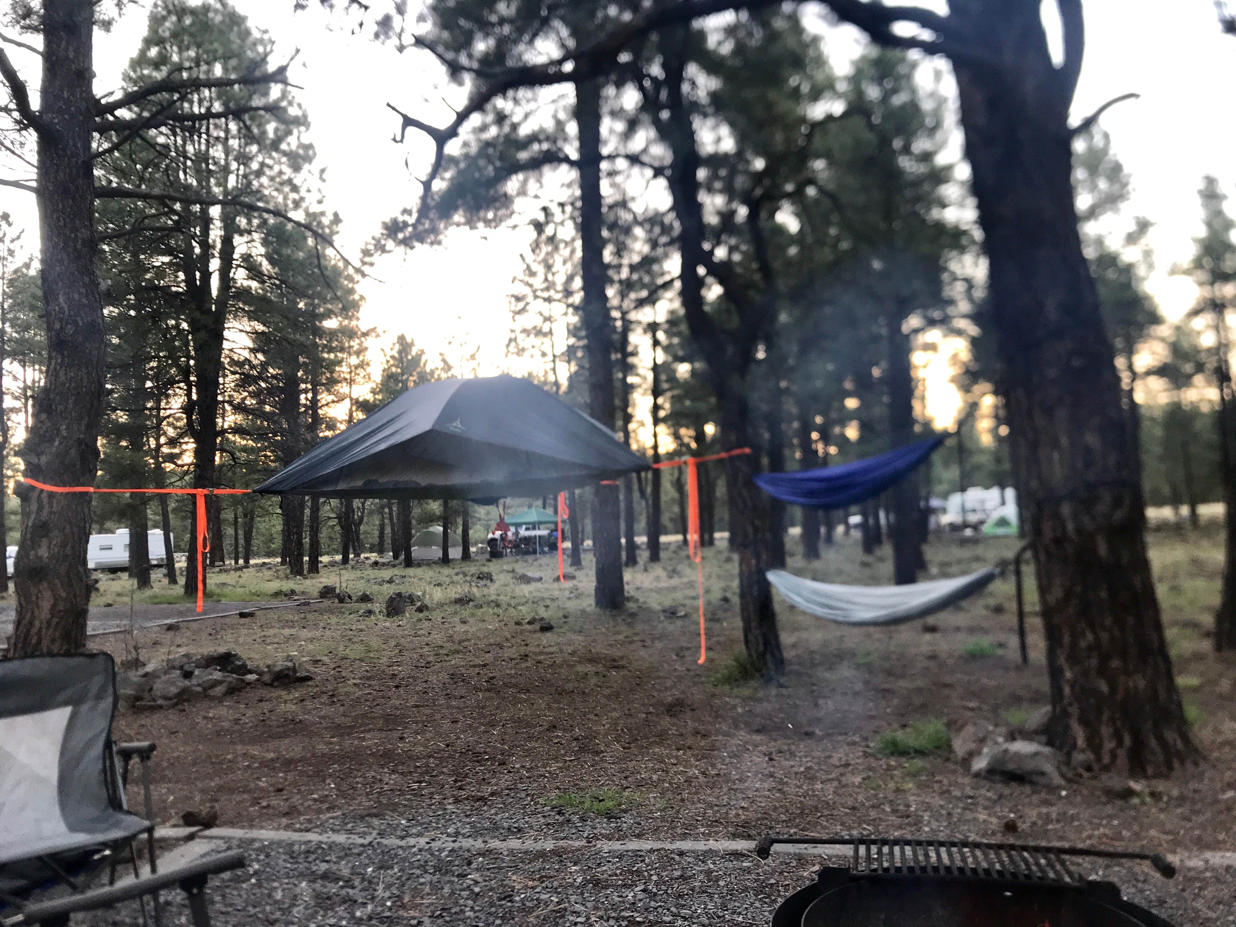 Camper submitted image from Dogtown Lake Campground And Group - 4