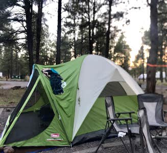 Camper-submitted photo from Grand Canyon-Williams KOA