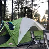 Review photo of Dogtown Lake Campground And Group by Joffrey H., July 31, 2018