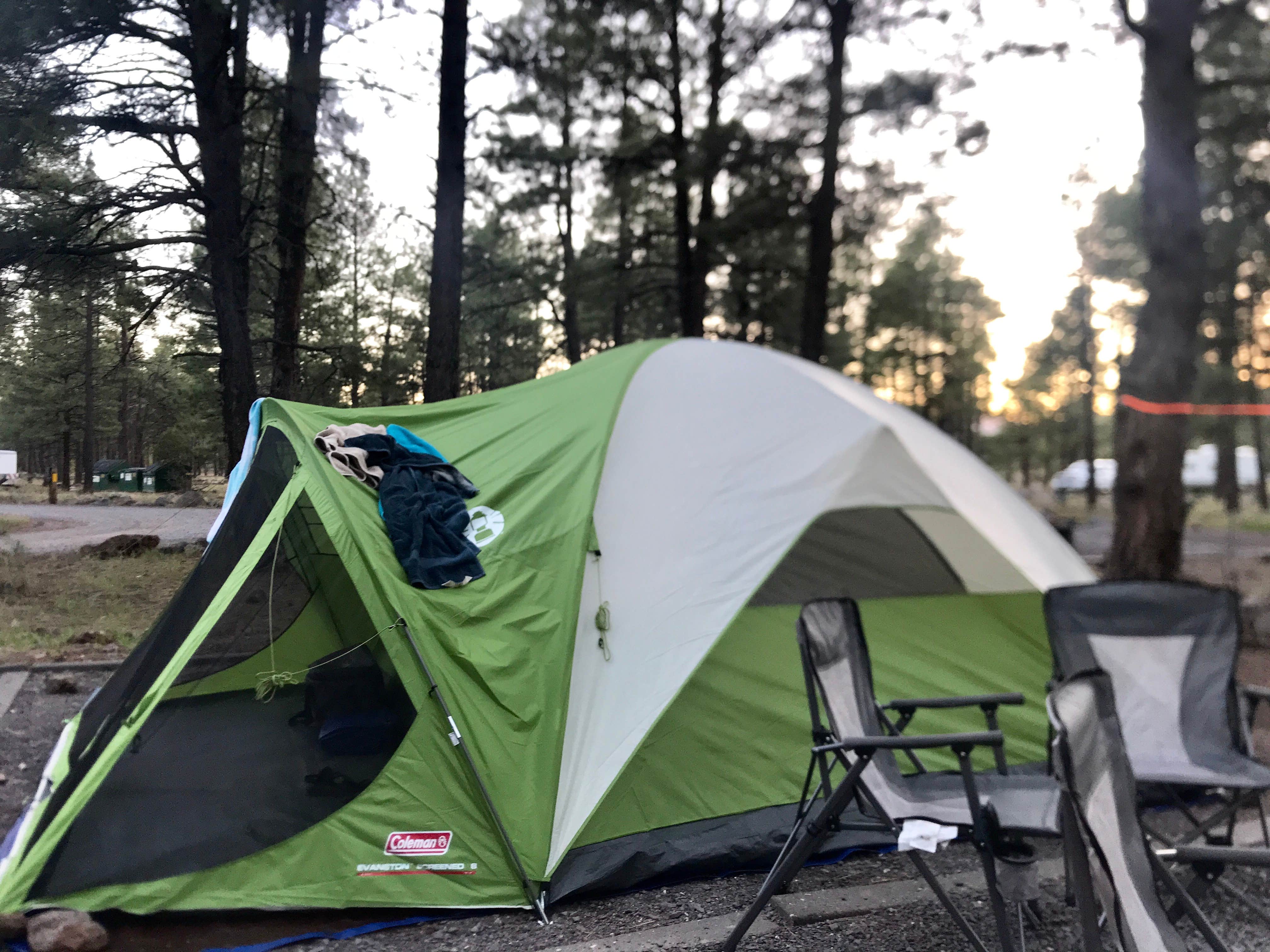 Camper submitted image from Dogtown Lake Campground And Group - 3