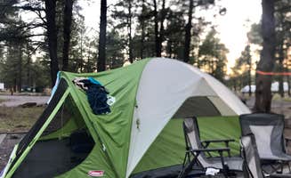 Joffrey H.'s photo at Dogtown Lake Campground And Group near Parks, AZ