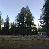 Review photo of Dogtown Lake Campground And Group by Joffrey H., July 31, 2018