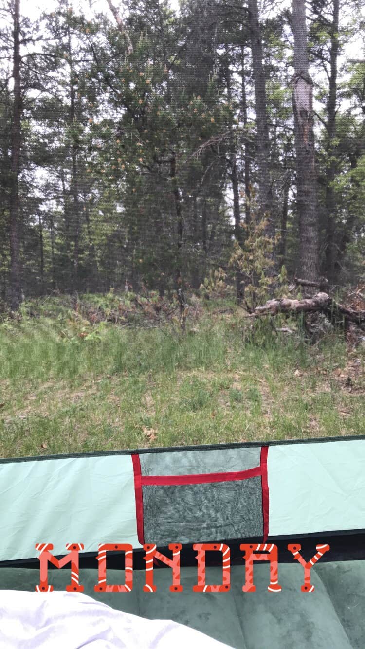 Camper-submitted photo at Jewell Lake Campground near Harrisville, MI