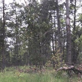 Review photo of Jewell Lake Campground by Halie C., July 9, 2018