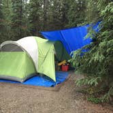 Review photo of Riley Creek Campground — Denali National Park by Staci J., July 28, 2016