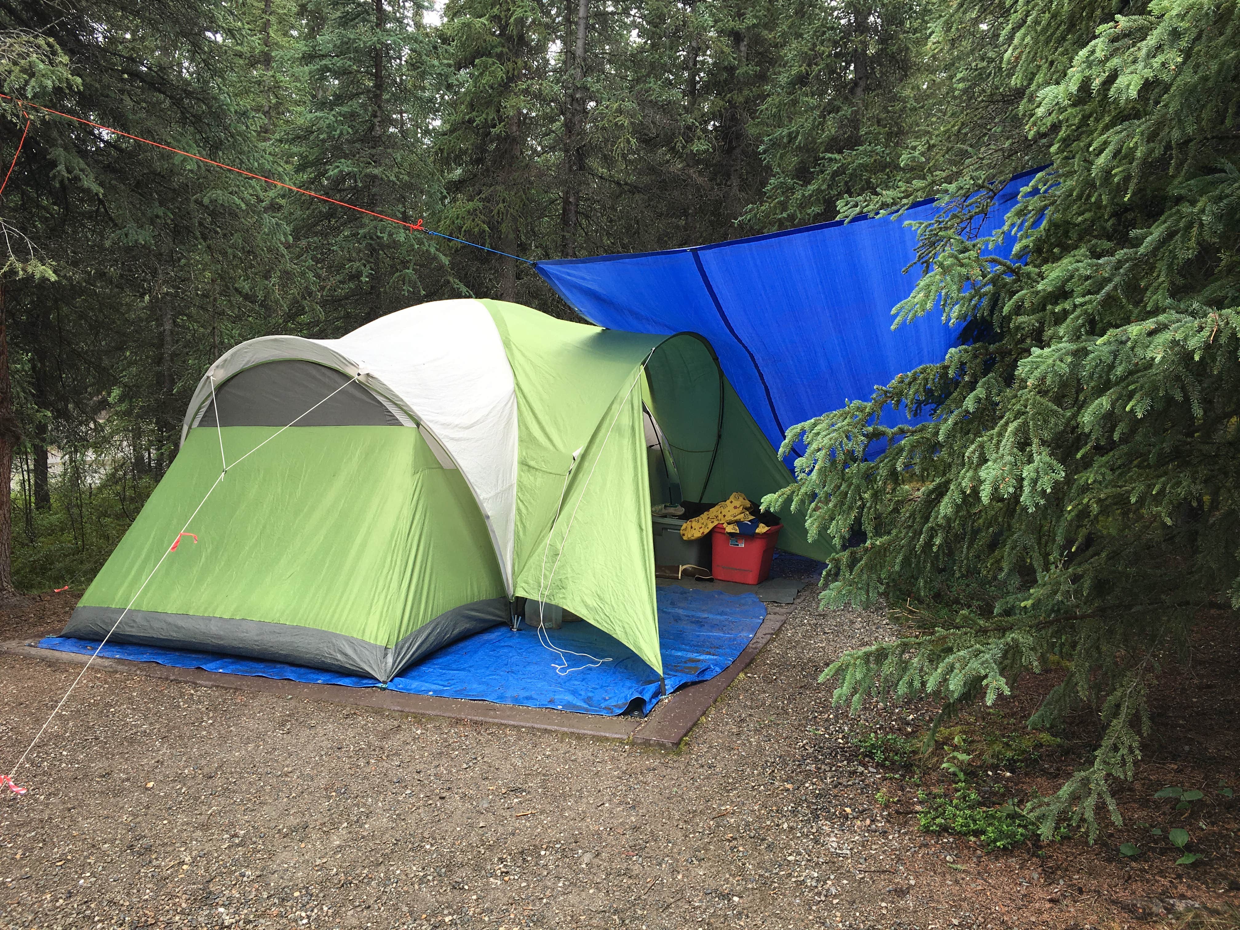 Camper submitted image from Riley Creek Campground — Denali National Park - 4