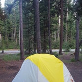 Review photo of Grant Village Campground — Yellowstone National Park by Jess D., July 31, 2018
