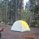 Review photo of Grant Village Campground — Yellowstone National Park by Jess D., July 31, 2018