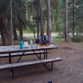 Review photo of Grant Village Campground — Yellowstone National Park by Jess D., July 31, 2018