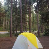 Review photo of Grant Village Campground — Yellowstone National Park by Jess D., July 31, 2018