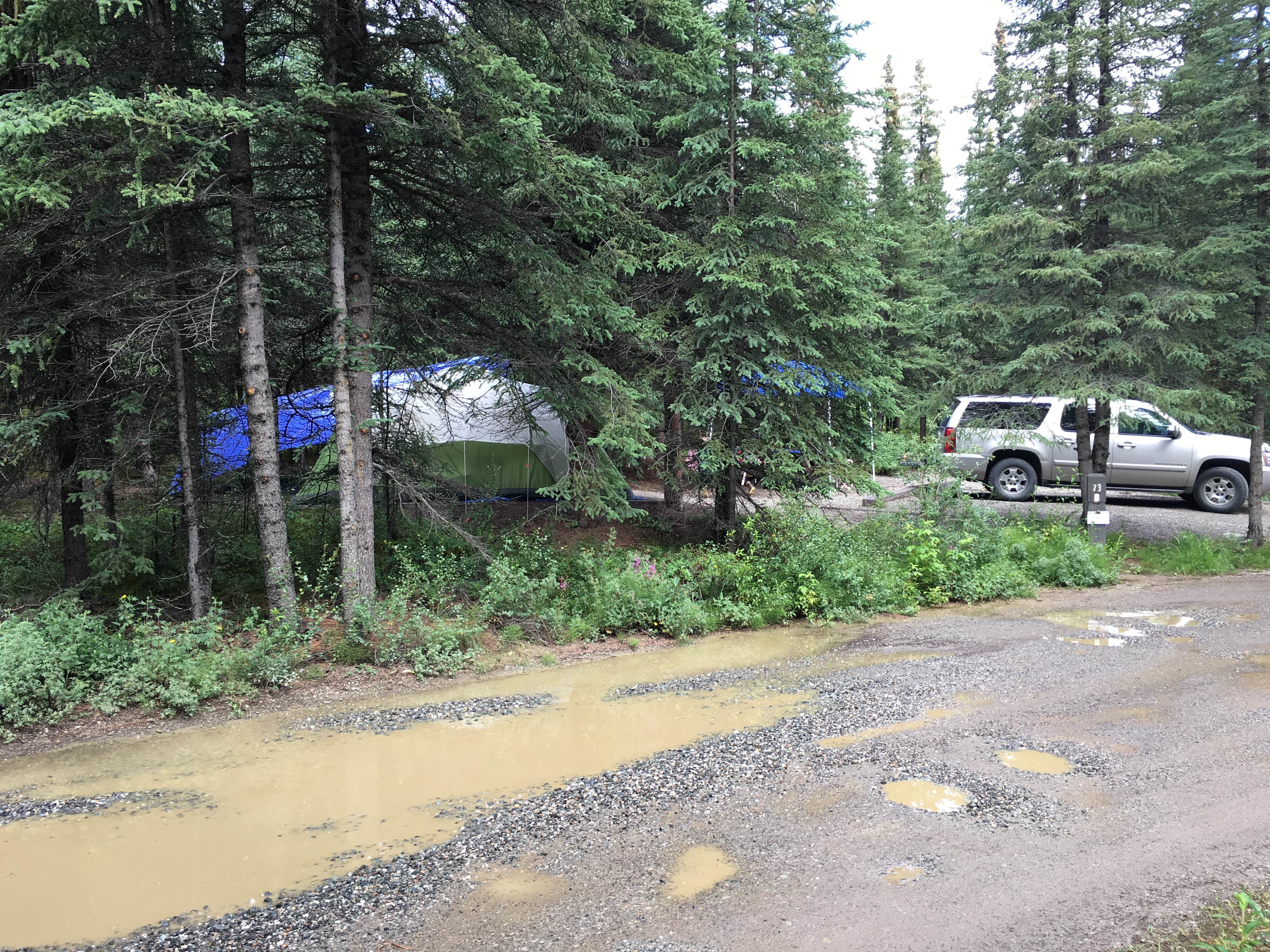 Camper-submitted photo at Riley Creek Campground — Denali National Park in Alaska