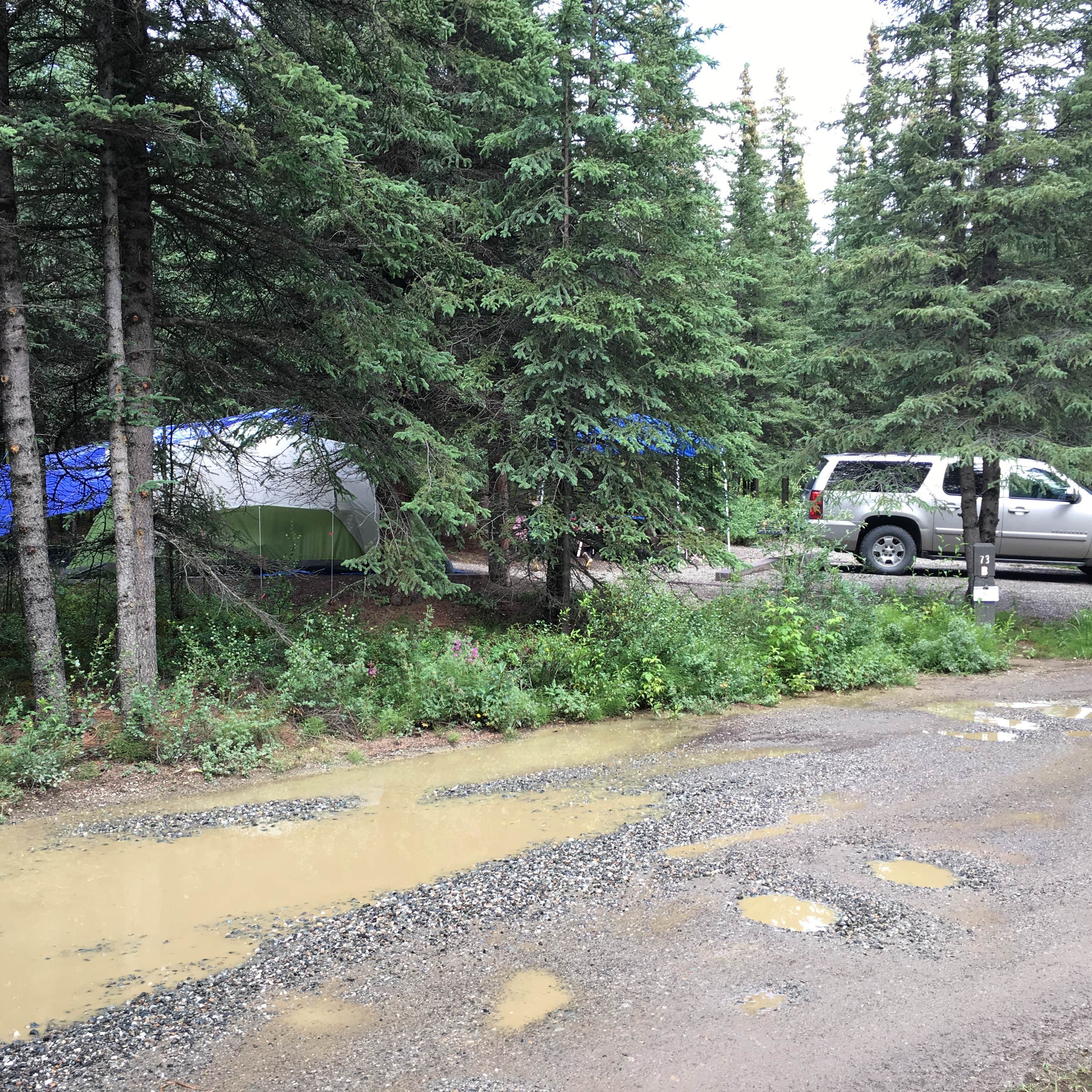 Riley Creek Campground Camping The Dyrt