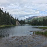 Review photo of Riley Creek Campground — Denali National Park by Staci J., July 28, 2016