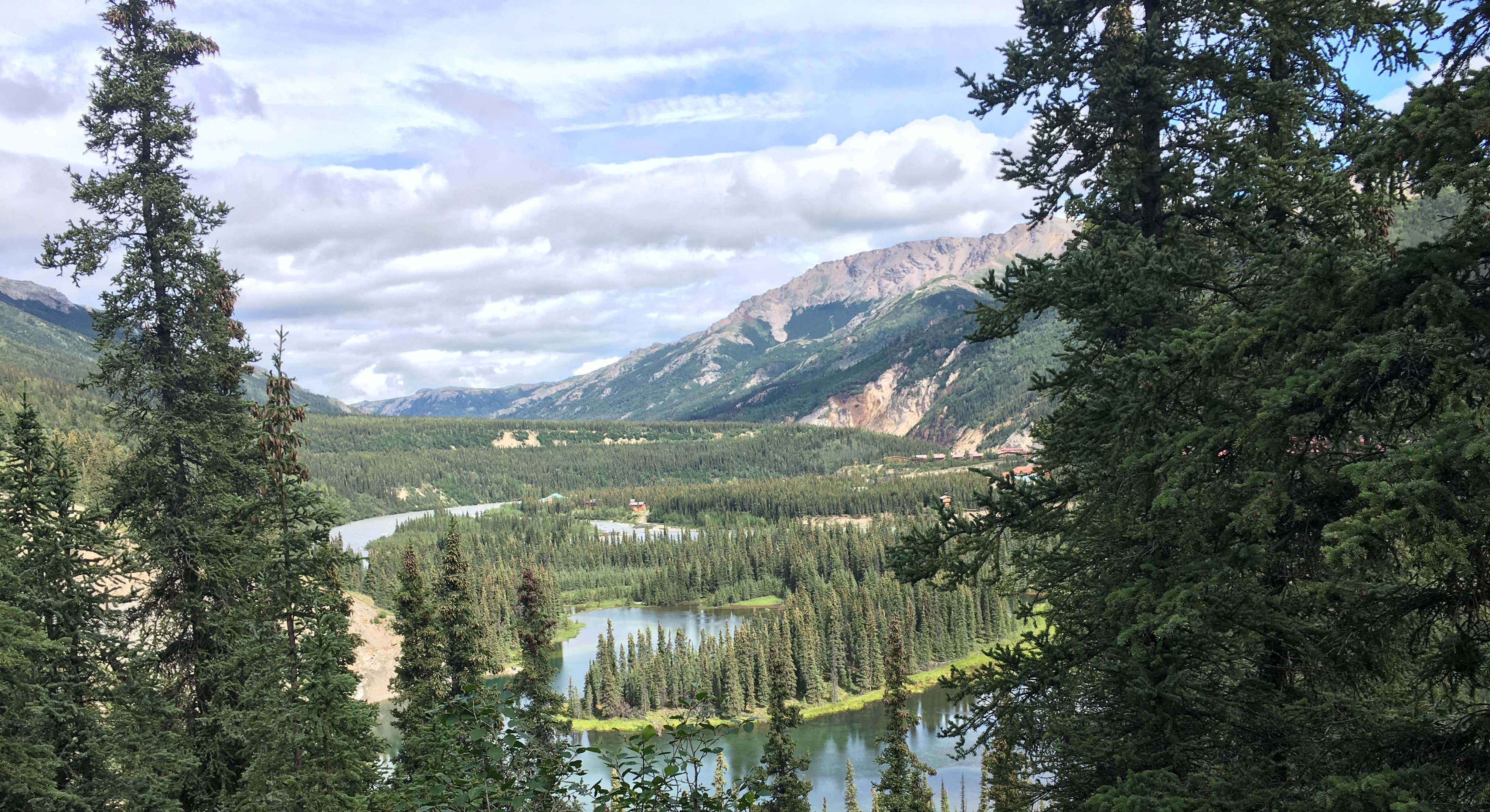 View of Horseshoe Lake Amazing Landscape View Near Riley Creek Campground in Denali National Park