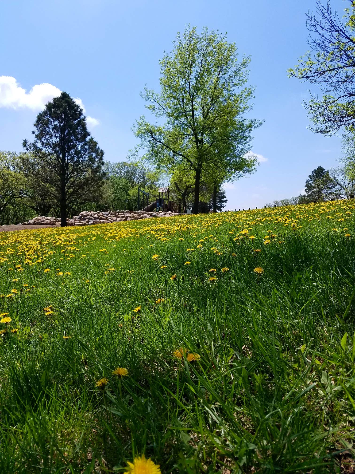 Camper-submitted photo at Hillview County Rec Area near Sioux City, IA