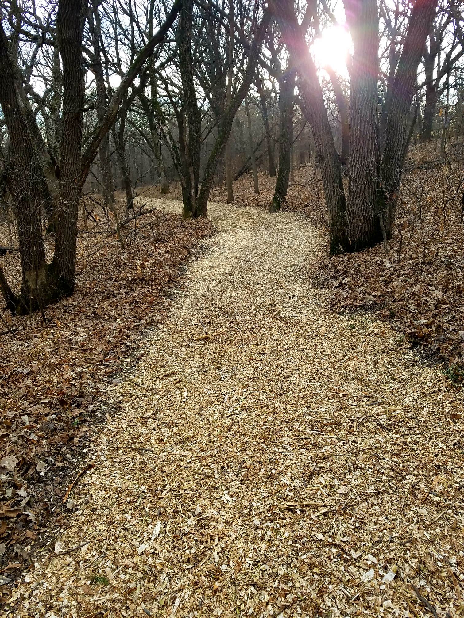 Camper-submitted photo at Hillview County Rec Area near Sioux City, IA