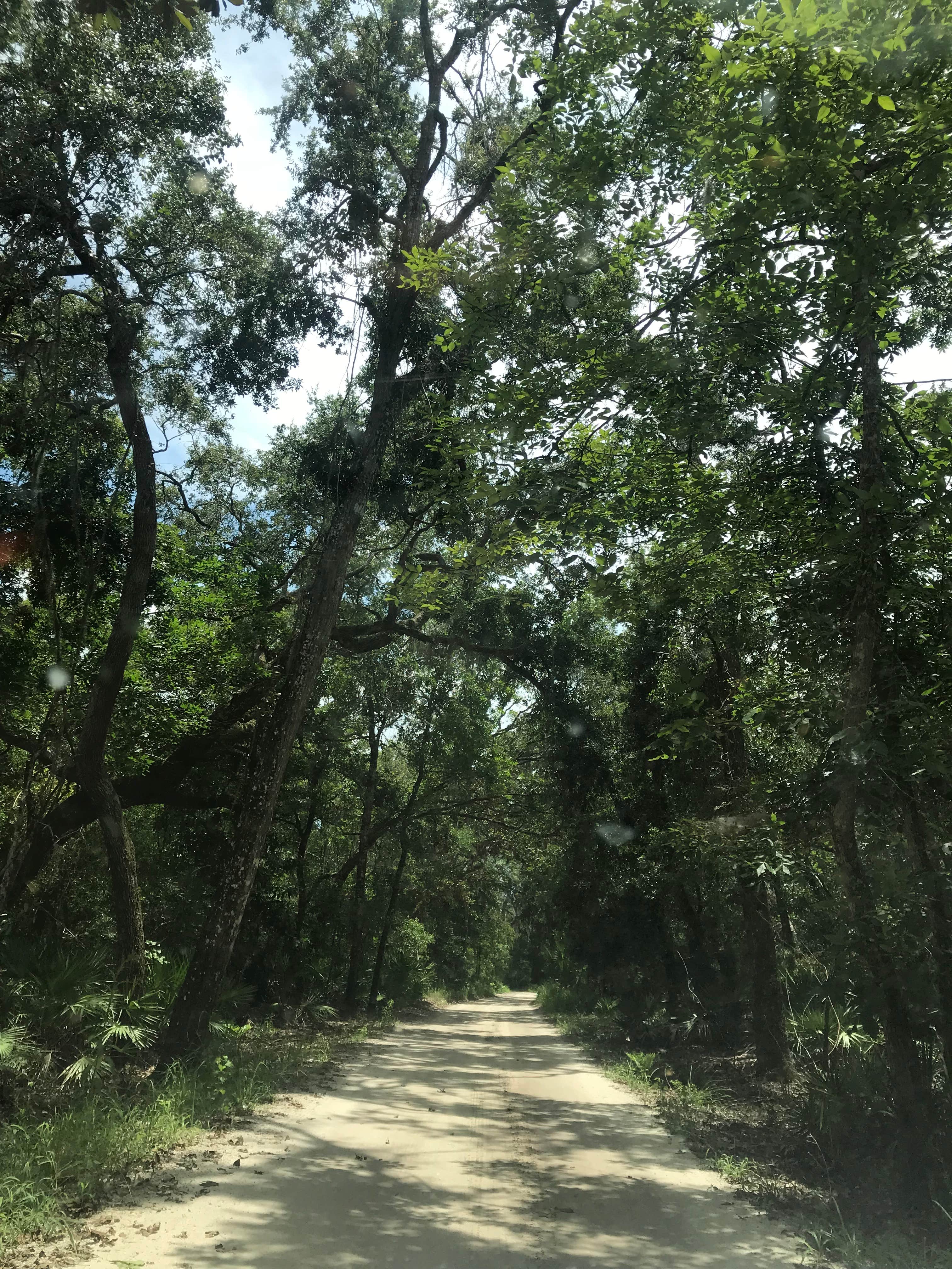 Camper submitted image from Faver-Dykes State Park Campground - 5
