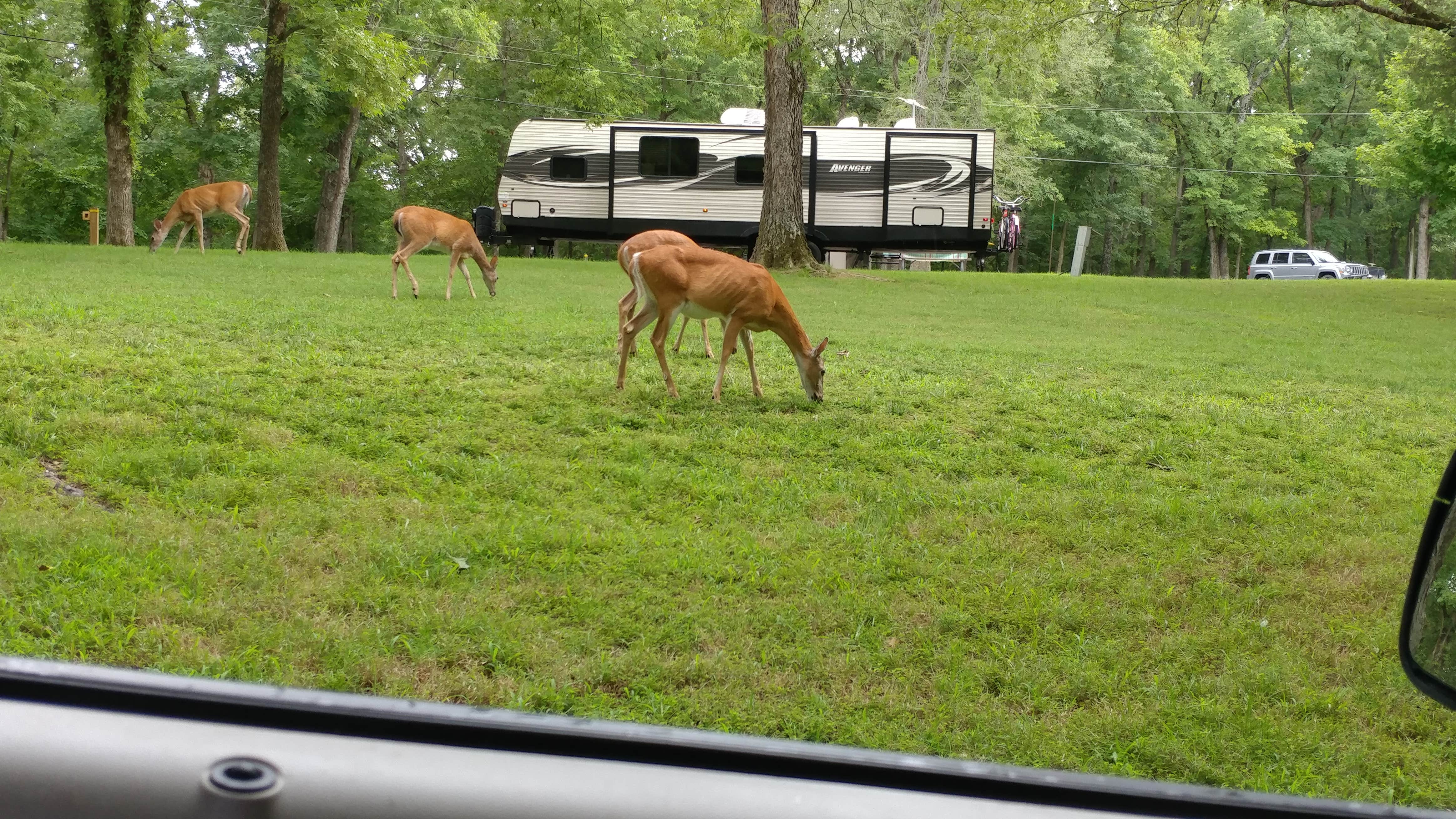 Sherry H.'s photo of rv camping at Lake of the Ozarks State Park Campground near Linn Creek, MO