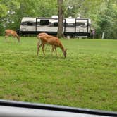 Review photo of Lake of the Ozarks State Park Campground by Sherry H., July 31, 2018