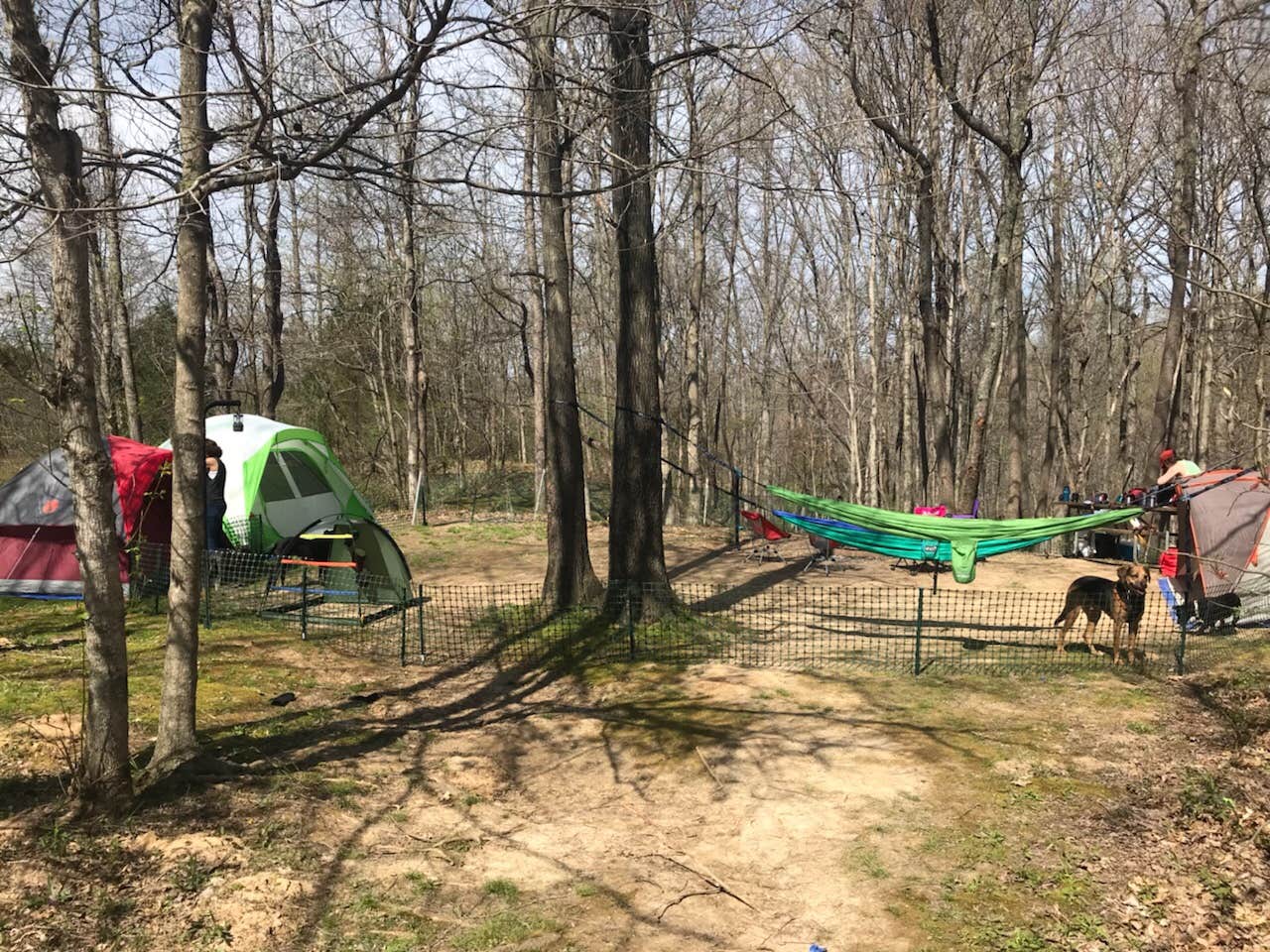 Camper-submitted photo at Taylorsville Lake State Park Campground near Pewee Valley, KY