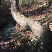 Review photo of Purtis Creek State Park Campground by Darlene E., July 31, 2018