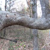 Review photo of Purtis Creek State Park Campground by Darlene E., July 31, 2018